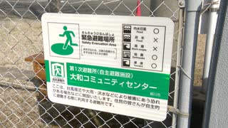 海沿いの津波避難ビルか　山の小学校か　津波が来たらどこへ逃げれば・・・