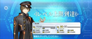 【FGO】岸波白野（レベルアップ）