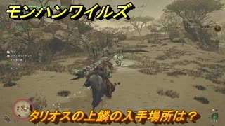 モンハンワイルズ　タリオスの上鱗の入手場所は？　二度と離さぬ誓いを立てて　＃２０６　【モンスターハンターワイルズ】