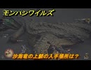 モンハンワイルズ　沙海竜の上鱗の入手場所は？　砂の竜、大海を知らず　＃２０８　【モンスターハンターワイルズ】
