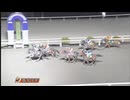 2025年3月11日高知競馬6R 高知は８２回目の協賛 落ち零れ木下智史特別(C3-2組) ゴールデンチョイス