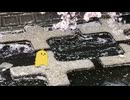 けだまきさんぽ(桜土手)