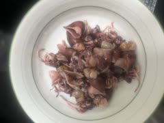 ホタルイカ　プロトン冷凍　ボイル　兵庫県産
