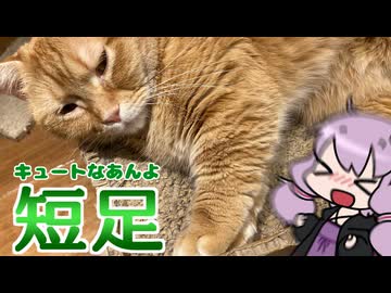 夢の短足王国（東京都練馬区）【VOICEROID旅行】