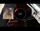 dbd　時間ないしDS使うか…っあ