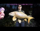【VOICEROID実況】野生の呼び声:釣り人25【Call of the Wild:The Angler】