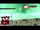 【実況】女一人の過去を語ります。Part18【トゥームレイダー5クロニクル】