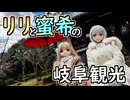 「岐阜公園」2025年お正月おでかけ動画【ラブドールとの日常】【ゆっくり解説・VOICEVOX解説】