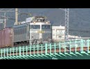 さらば「銀釜」　輝く無骨な車体が人気の電気機関車　半世紀にわたり貨物･寝台列車を"地球78周分"牽引