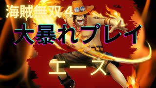 海賊無双４で大暴れ！～エース編～（新DLC開発決定記念！）