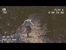 遺言.wav / 初音ミク Music Video