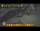 モンハンワイルズ　沙海竜の堅殻の入手場所は？　砂の竜、大海を知らず　＃２０９　【モンスターハンターワイルズ】