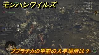 モンハンワイルズ　ブブラチカの甲殻の入手場所は？武器・防具素材集め入手方法　＃２１１　【モンスターハンターワイルズ】