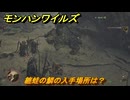 モンハンワイルズ　纏蛙の鱗の入手場所は？　武器・防具素材集め入手方法　＃２１６　【モンスターハンターワイルズ】