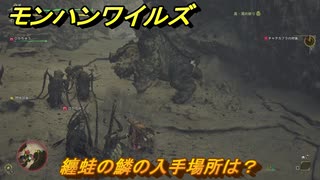 モンハンワイルズ　纏蛙の鱗の入手場所は？　武器・防具素材集め入手方法　＃２１６　【モンスターハンターワイルズ】
