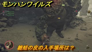 モンハンワイルズ　纏蛙の皮の入手場所は？　武器・防具素材集め入手方法　＃２１７　【モンスターハンターワイルズ】
