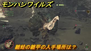 モンハンワイルズ　纏蛙の纏甲の入手場所は？　武器・防具素材集め入手方法　＃２１９　【モンスターハンターワイルズ】