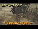 モンハンワイルズ　炎尾竜の鱗の入手場所は？　武器・防具素材集め入手方法　＃２２０　【モンスターハンターワイルズ】