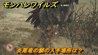 モンハンワイルズ　炎尾竜の鱗の入手場所は？　武器・防具素材集め入手方法　＃２２０　【モンスターハンターワイルズ】
