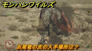 モンハンワイルズ　炎尾竜の皮の入手場所は？　武器・防具素材集め入手方法　＃２２１　【モンスターハンターワイルズ】