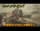 モンハンワイルズ　炎尾竜のトサカの入手場所は？　武器・防具素材集め入手方法　＃２２３　【モンスターハンターワイルズ】