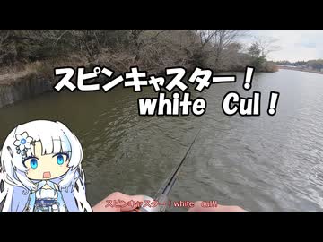 スピンキャスター！WhiteCul！！　第1話「魔法少女」【VOICEROIDフィッシング】WhiteCulとずんだもんと四国めたんと中国うさぎ