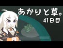 【VIRIDI】あかりと草。41日目【VOICEROID実況】