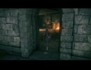 #42【ELDEN RING】この鳥こんな強かったっけ！【エルデンリング初見実況】