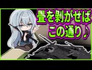 【オトメ世界の歩き方】45　茶道部員なのに畳の扱いがあまりに酷すぎて雅な心を持った大和撫子のエアプにしか見えない
