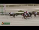 2025年3月12日園田競馬8R ＬＪＳ園田ラウンド 第１戦(C2) ニシノウインド