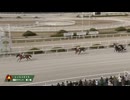2025年3月12日園田競馬10R ＬＪＳ園田ラウンド 第２戦(C2) エランフェーヴル