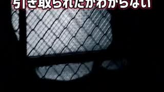 ベビーライフ事件