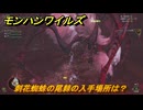 モンハンワイルズ　刺花蜘蛛の尾棘の入手場所は？　武器・防具素材集め入手方法　＃２２８　【モンスターハンターワイルズ】