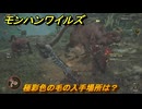 モンハンワイルズ　極彩色の毛の入手場所は？　武器・防具素材集め入手方法　＃２３１　【モンスターハンターワイルズ】