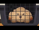 ドッグシグナル　第19話　ふたりのほころび