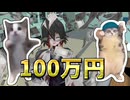 ホモビ猫ミームで100万円以上稼いでた件【収益公開】
