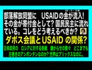 25・3・12夜　どこまで続く　USAID利権組暴露?