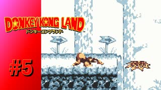 【実況】BボタンからSELECTボタンで足場を作る鬼畜なスクイッター【ドンキーコングランド】#5