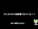 ランゴスタに部位破壊される空の王者リオレウス…