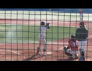 慶大2年 吉開 鉄朗 （慶應）バッティングフォーム＜日本大学 対 慶應大学 オープ戦 第二試合 2024年12月15日＞