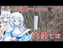 2025年3月13日　農作業日誌P1298　地面はどろどろなので、竹藪の伐採でもしていますね