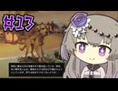 DREDGEやるよ　Part13　【VOICEVOX実況プレイ】