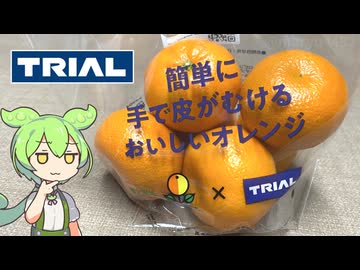 トライアルの「簡単に手で皮がむけるおいしいオレンジ（税込み499円/6個）