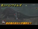 モンハンワイルズ　波衣竜の皮の入手場所は？　武器・防具素材集め入手方法　＃２４８　【モンスターハンターワイルズ】
