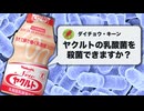 ヤクルトの生きた乳酸菌を殺菌してみた / 無菌の乳酸菌飲料が飲みたい！