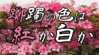 【シノビガミ】「躑躅の色は紅か白か」OP