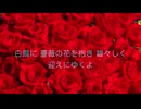 湖の森に眠る君と銀河の果てまで / 伊藤清光（Keybow）