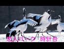 道産子・かわたれ / 伊藤清光（Keybow）