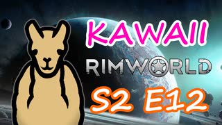 アルパカ売りの少女 | 可愛さだけで成り上がる RimWorld Ep.12