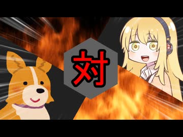 マキさん対コーギー